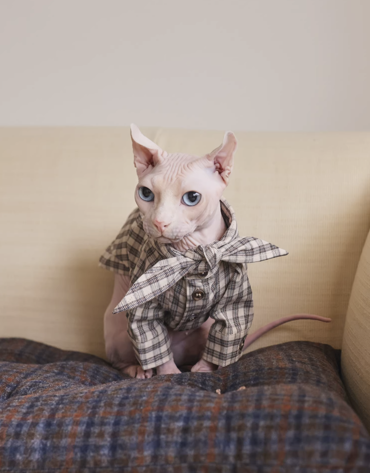 GT Series Hazelnut Plaid Tie-Neck Shirt