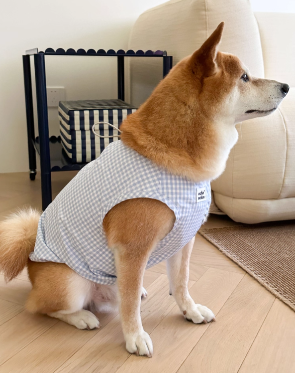 Double-Sided Summer Plaid Top