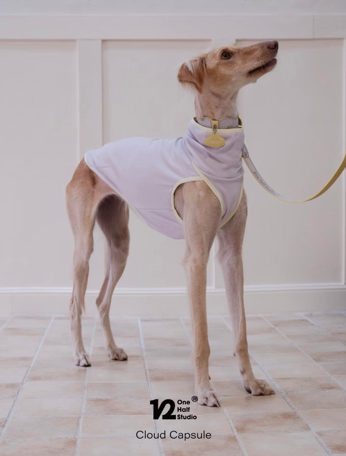 The Cloud Capsule Leather Pet Collar