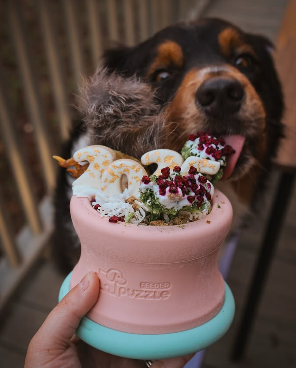 Puzzle Tumbler Detachable Enrichment Toy L/XL