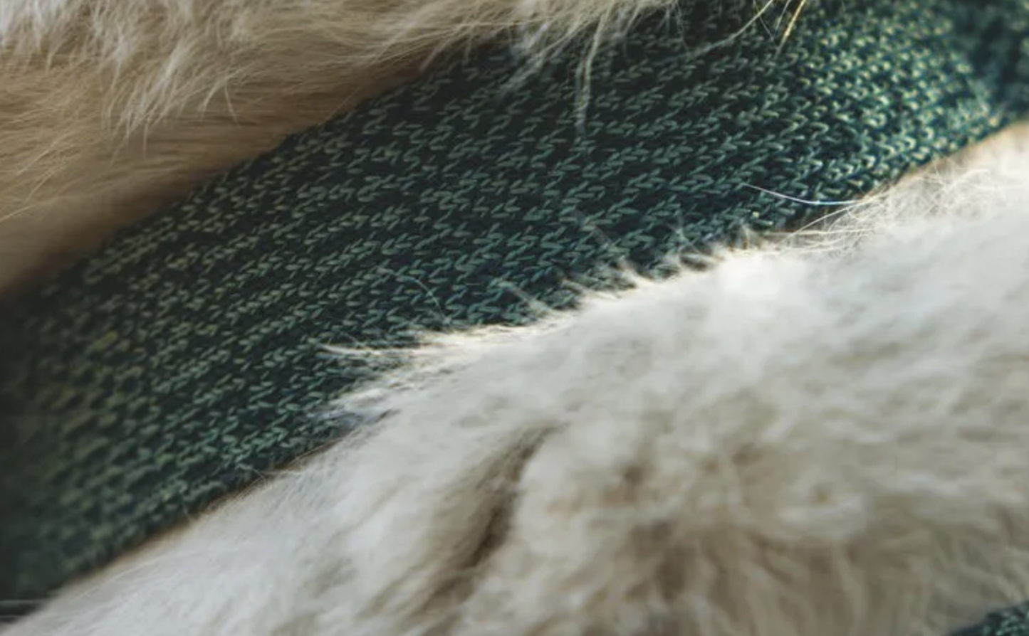 Ruffwear Front Range Flex Collar