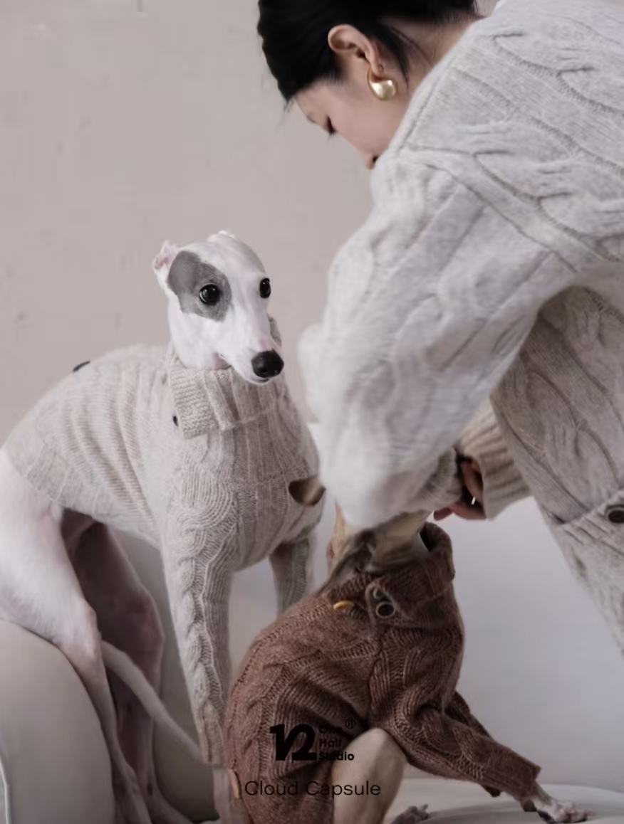 The Cloud Capsule Knit Sweater