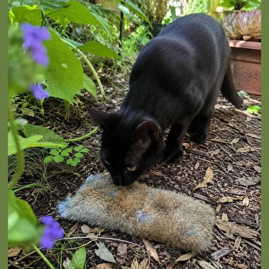 Hollow Hare Rabbit Fur Toy – Unstuffed for Natural Play