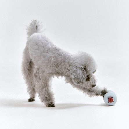 Dango Puzzle Toy Basic