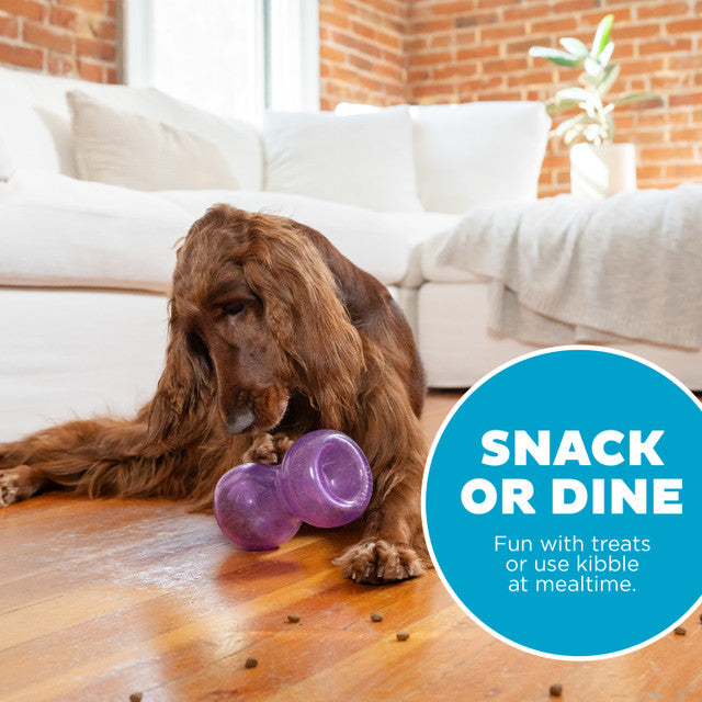 Double-Snoop Interactive Treat Stuffer Toy