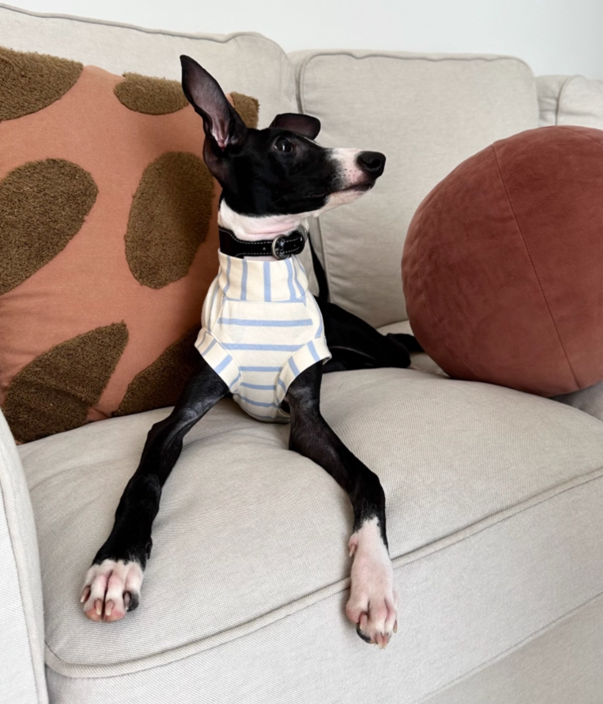 Blue n White Stripes Cotton Top