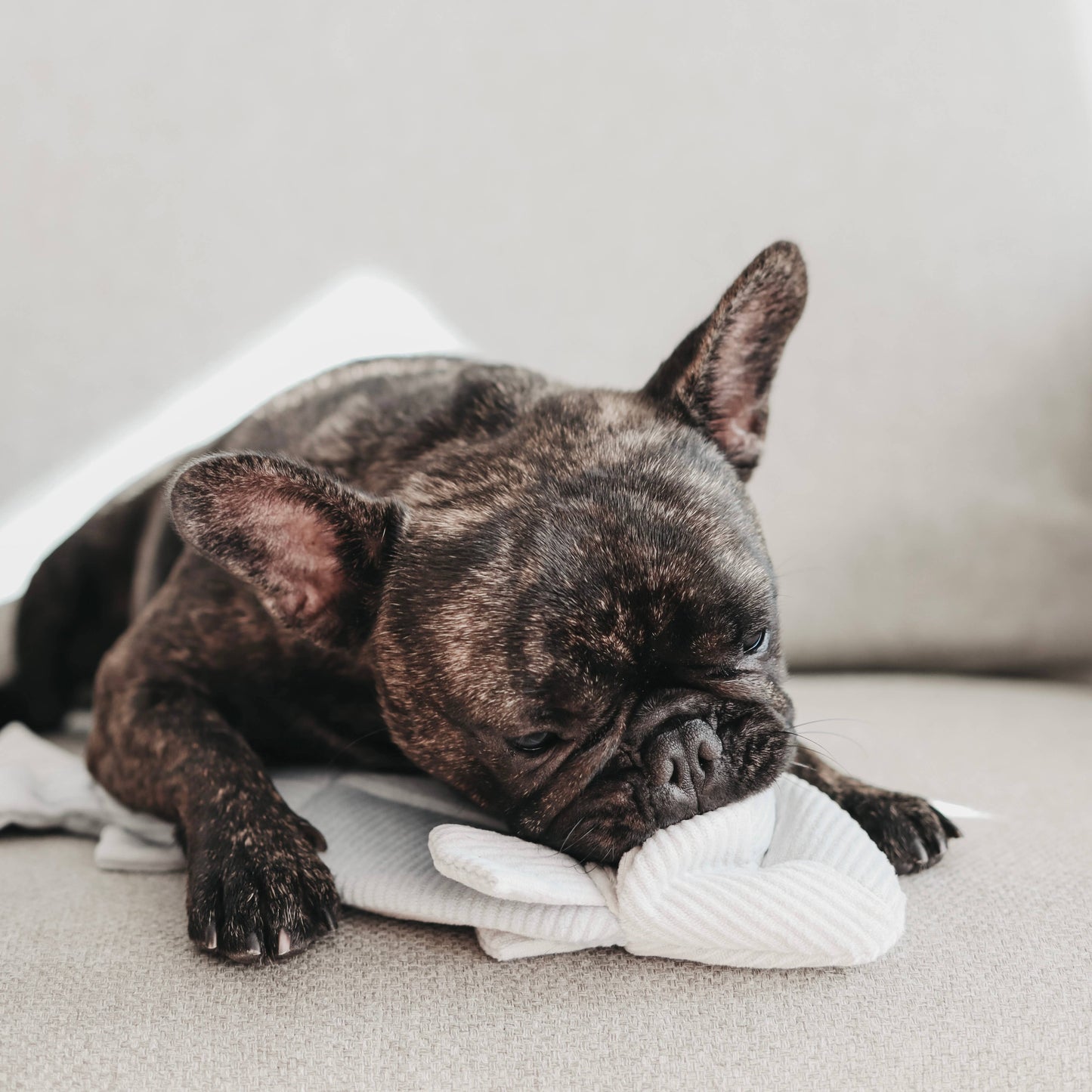 TROUT // ENRICHMENT DOG TOY // SNUFFLE TOY