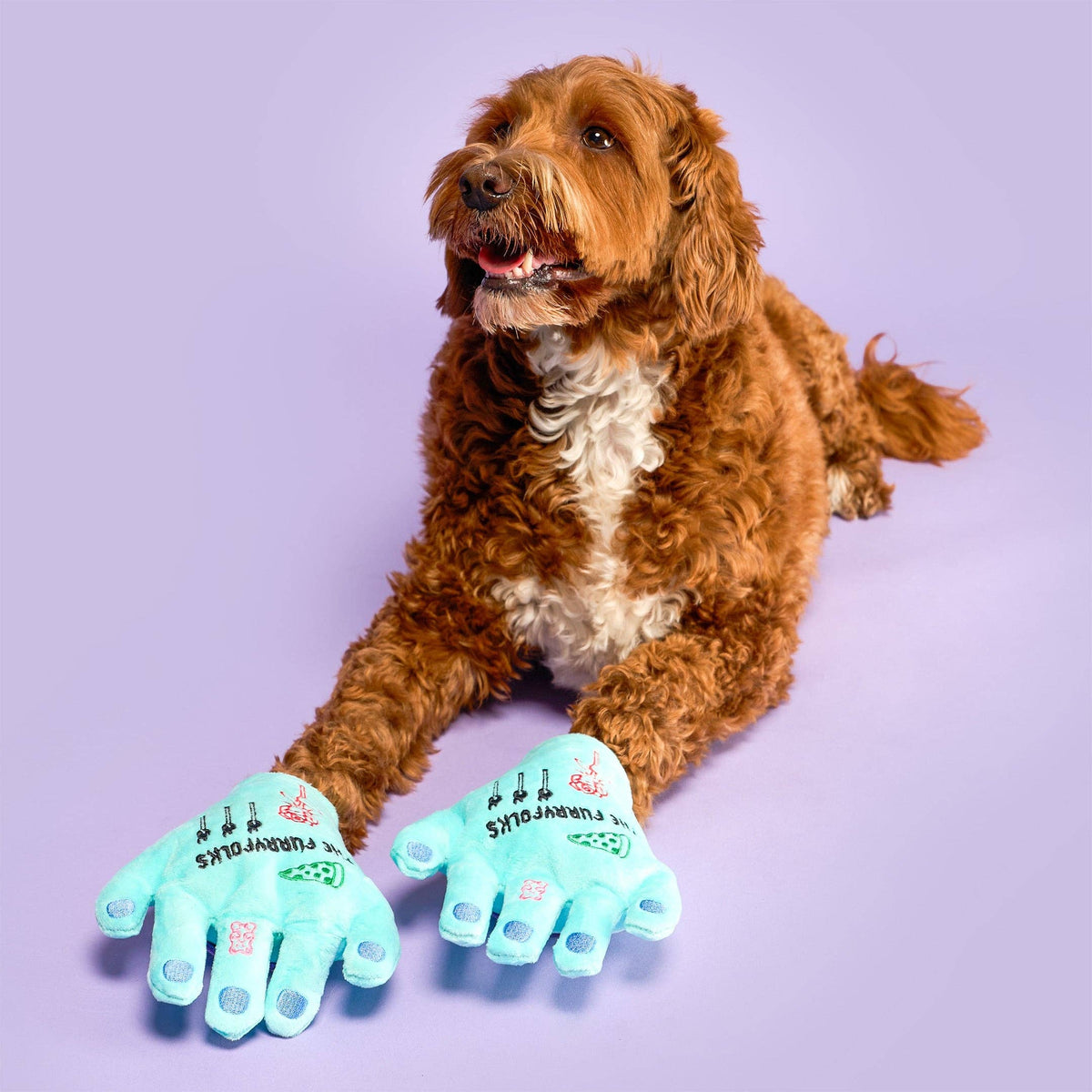 Lost Hand Nosework Toy