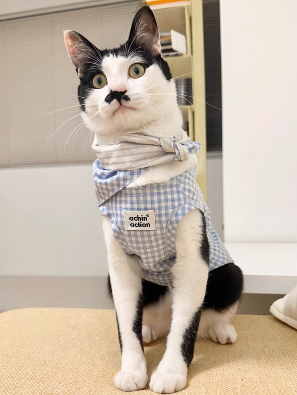 Double-Sided Summer Plaid Top