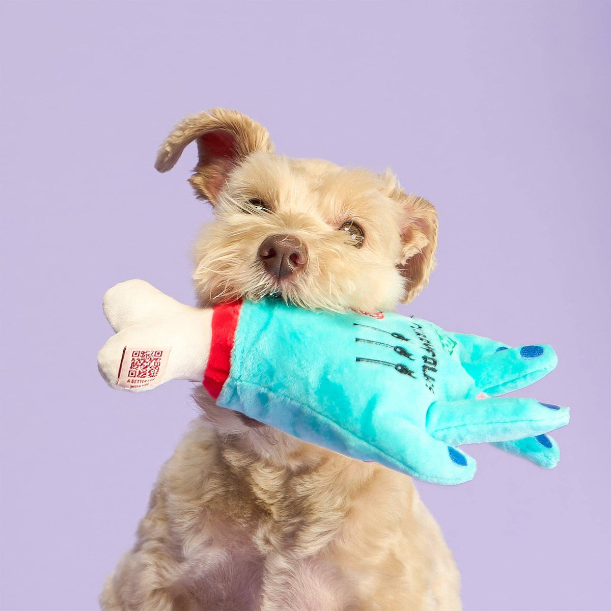 Lost Hand Nosework Toy