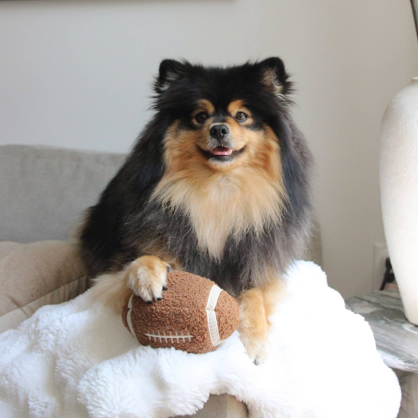 FOOTBALL // ENRICHMENT TOY SET// SNUFFLE + BURROW