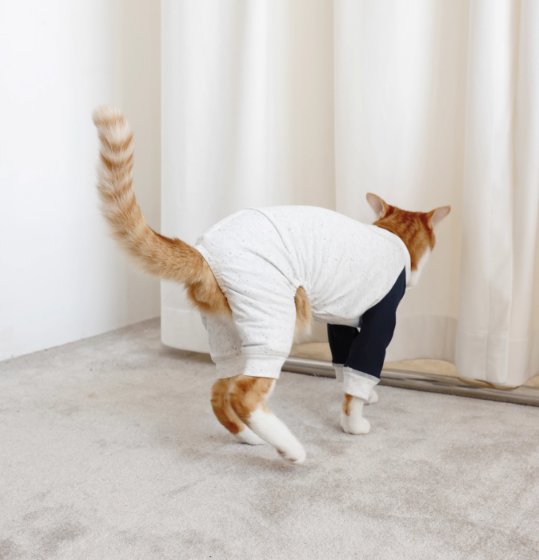 LG Series UPF50+ Anti-Bacterial Cooling Four-Legged Suit