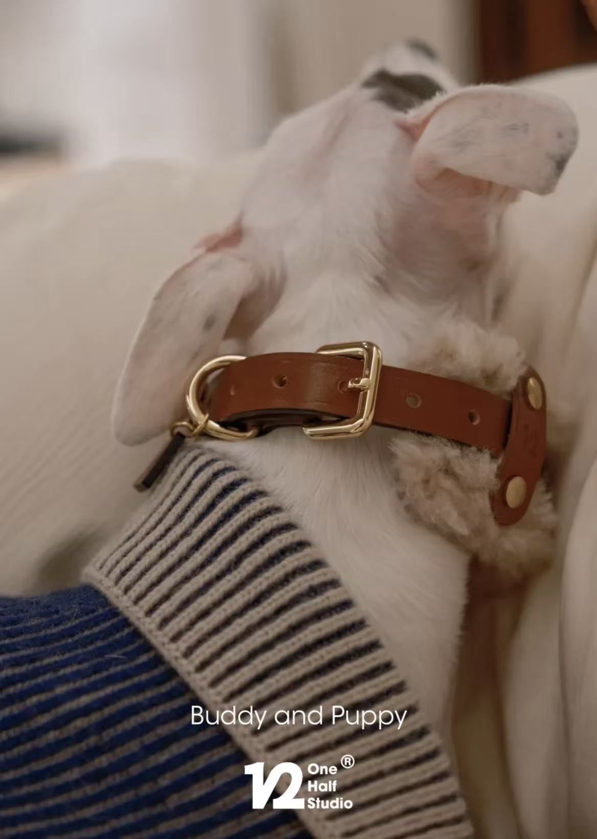 Merino Wool & Leather Collar