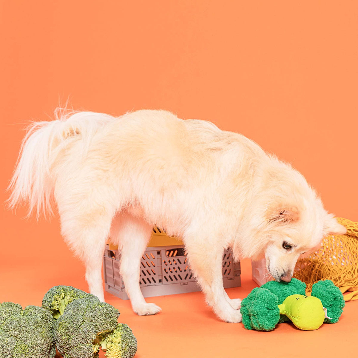 FurryFolks Broccoli Nosework Toy