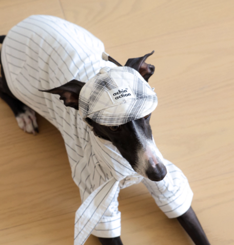 Achin Action Plaid Baseball Cap White