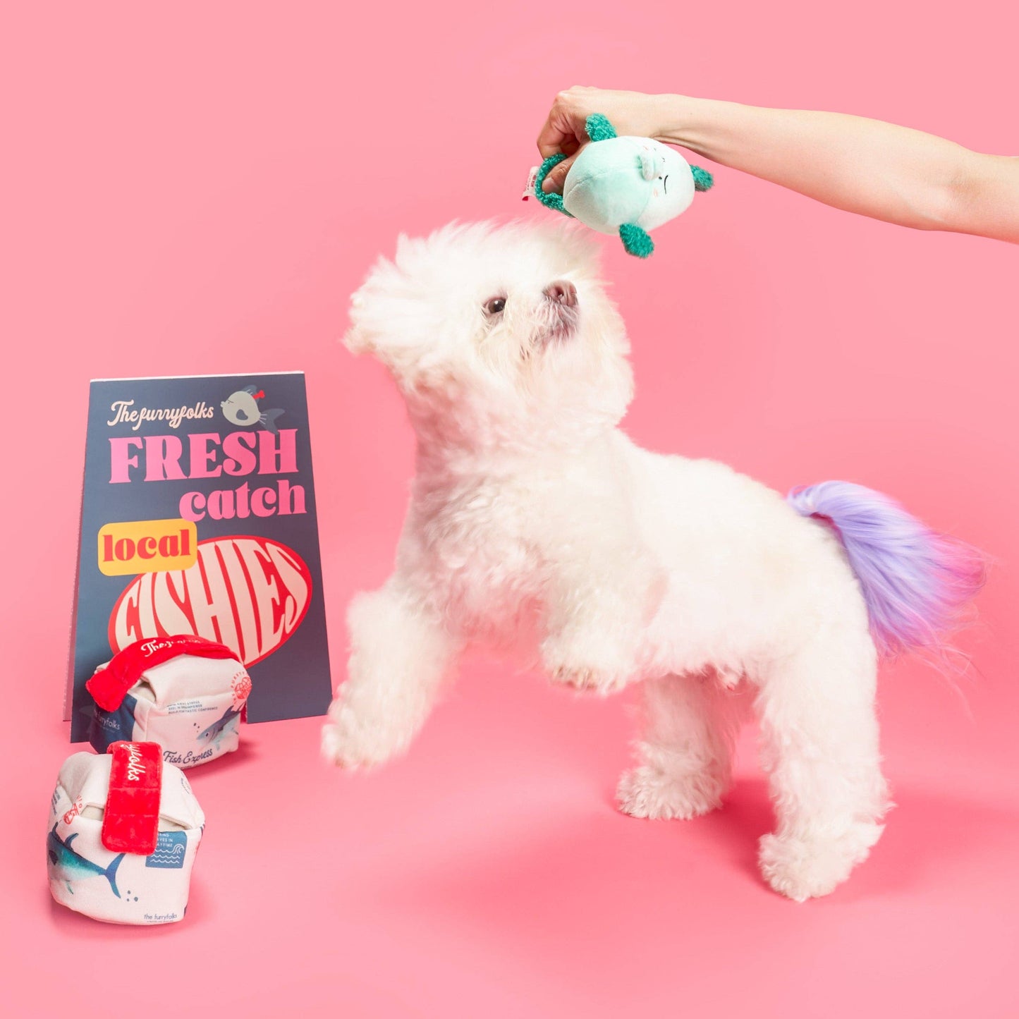 Fish Express Nosework Toy
