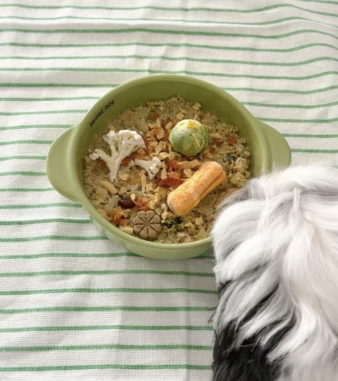 Bridge Dog Bridge Matcha Limited Edition