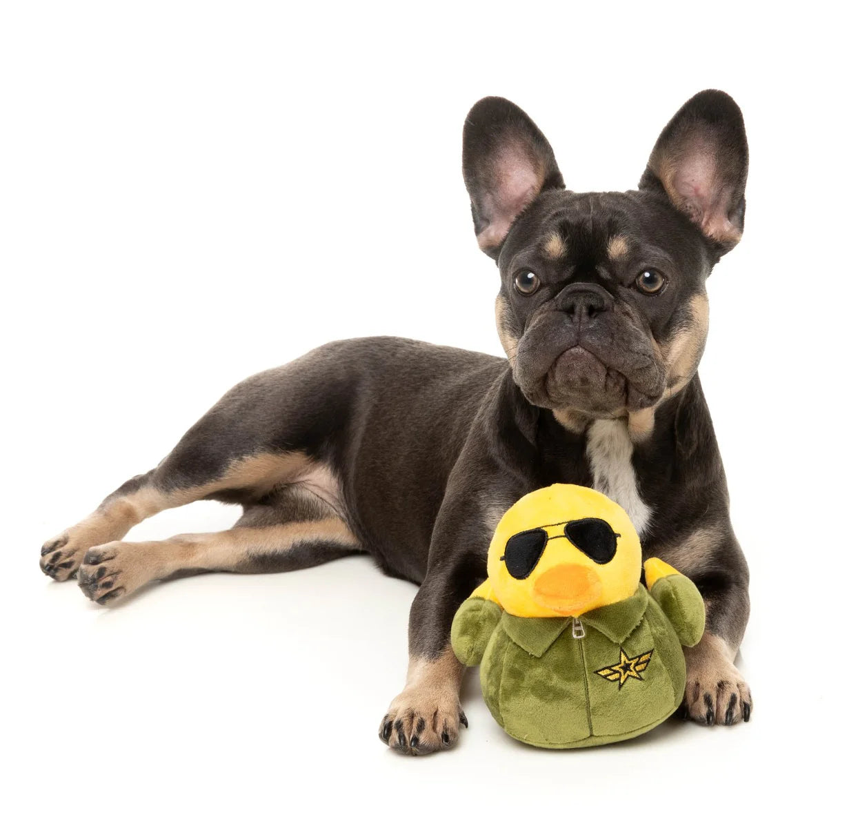 Goose Toy