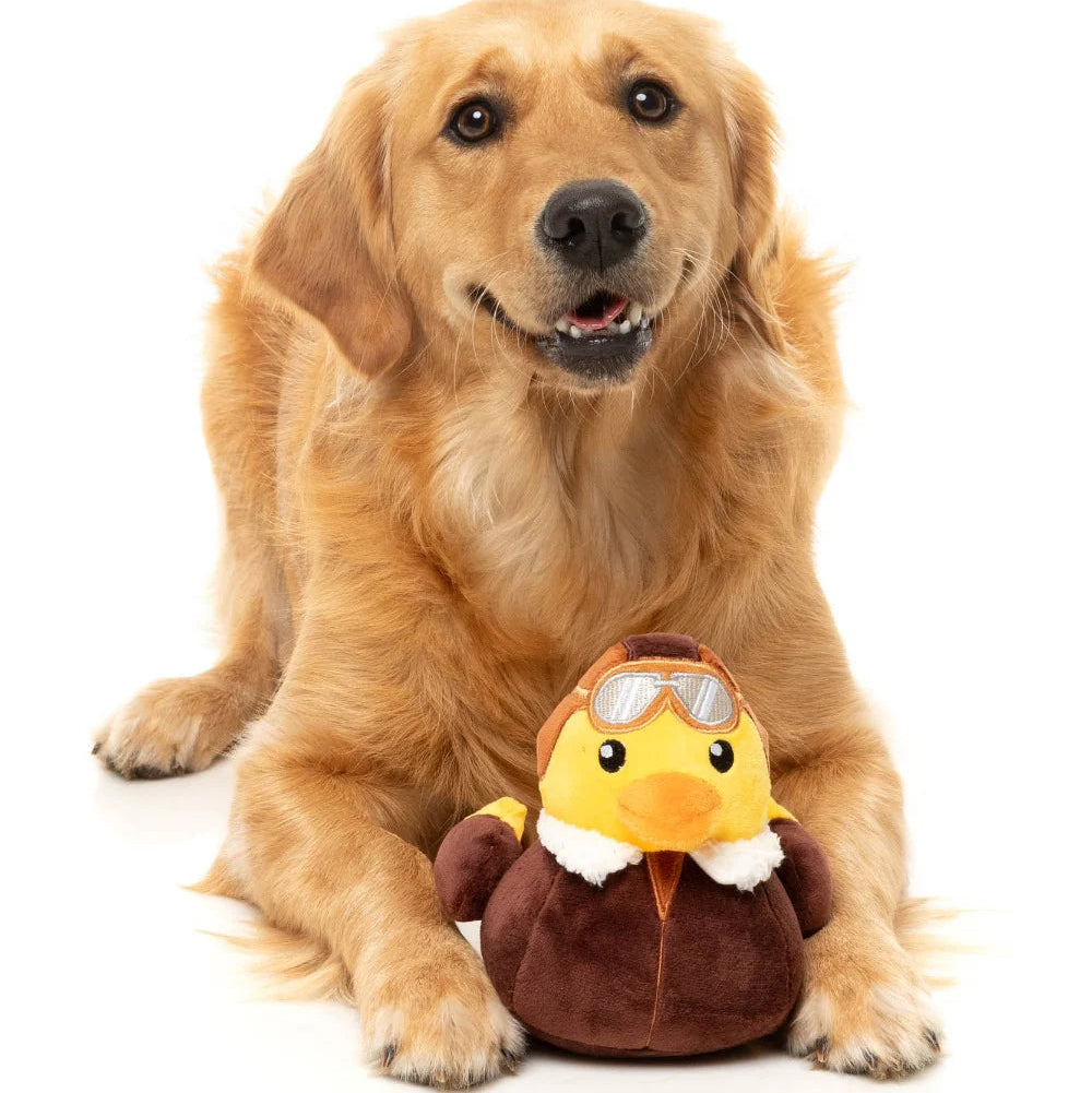 Amelia Quackhart