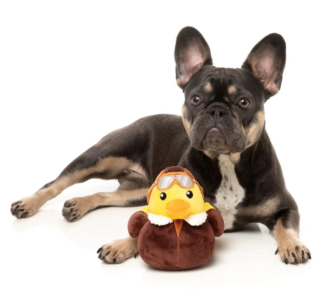 Amelia Quackhart