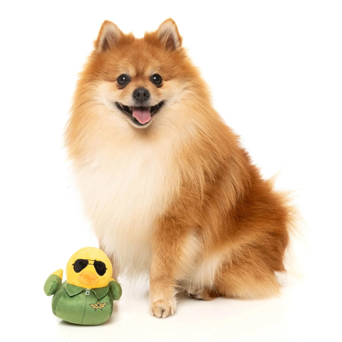 Goose Toy