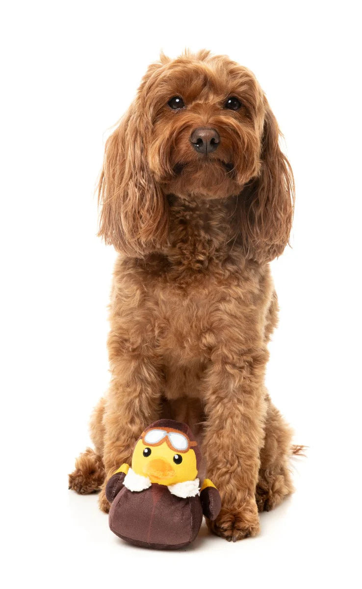 Amelia Quackhart