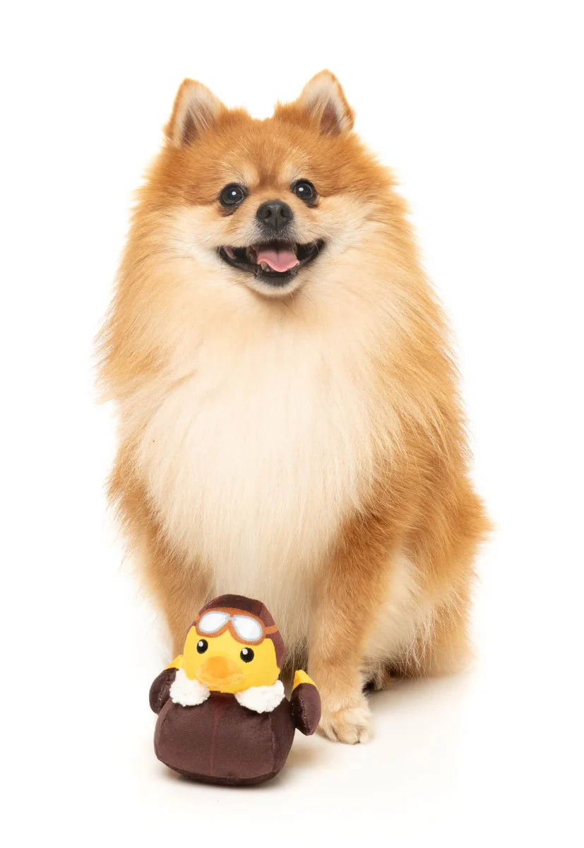 Amelia Quackhart