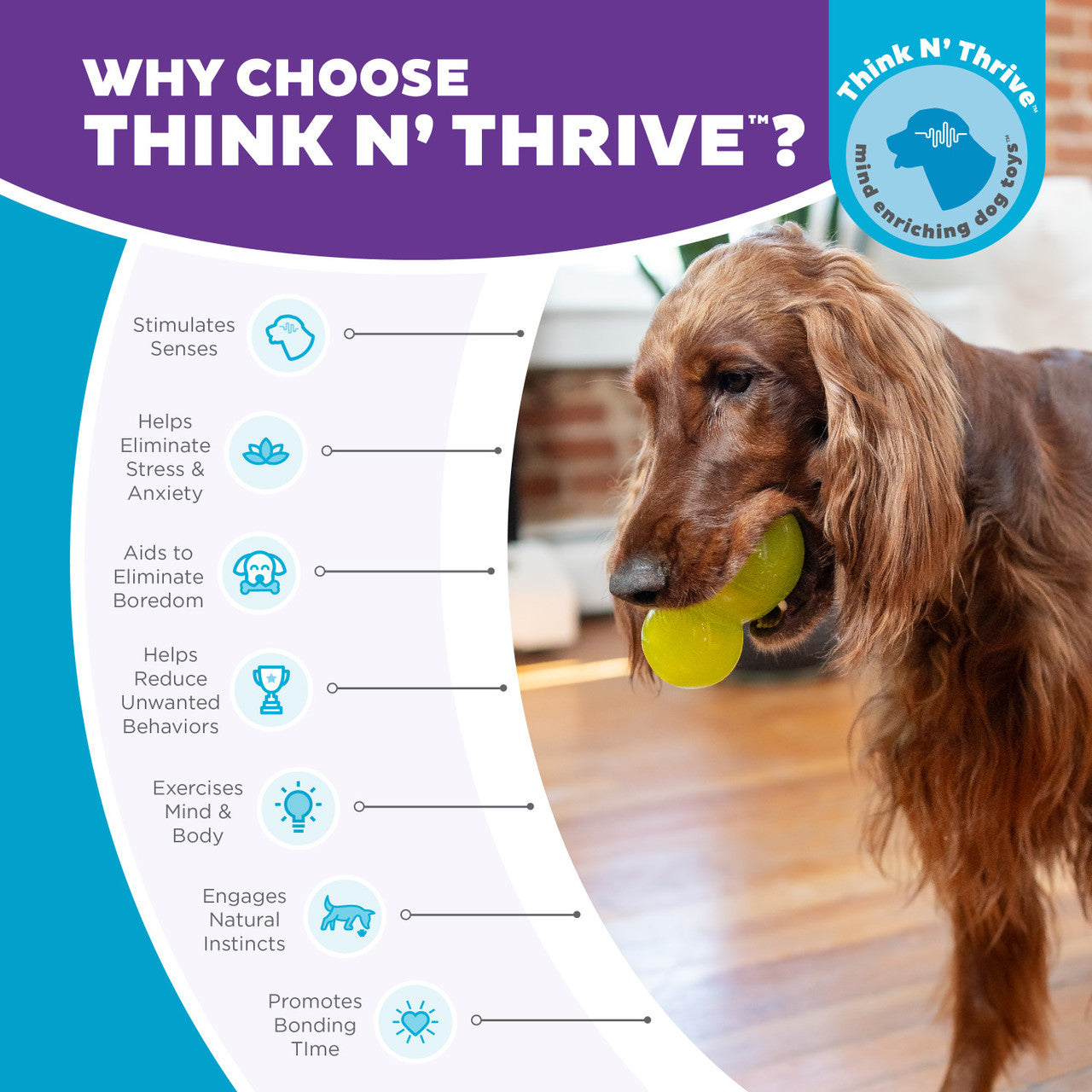 Double-Tuff Interactive Treat Stuffer Durable Dog Chew Toy Large