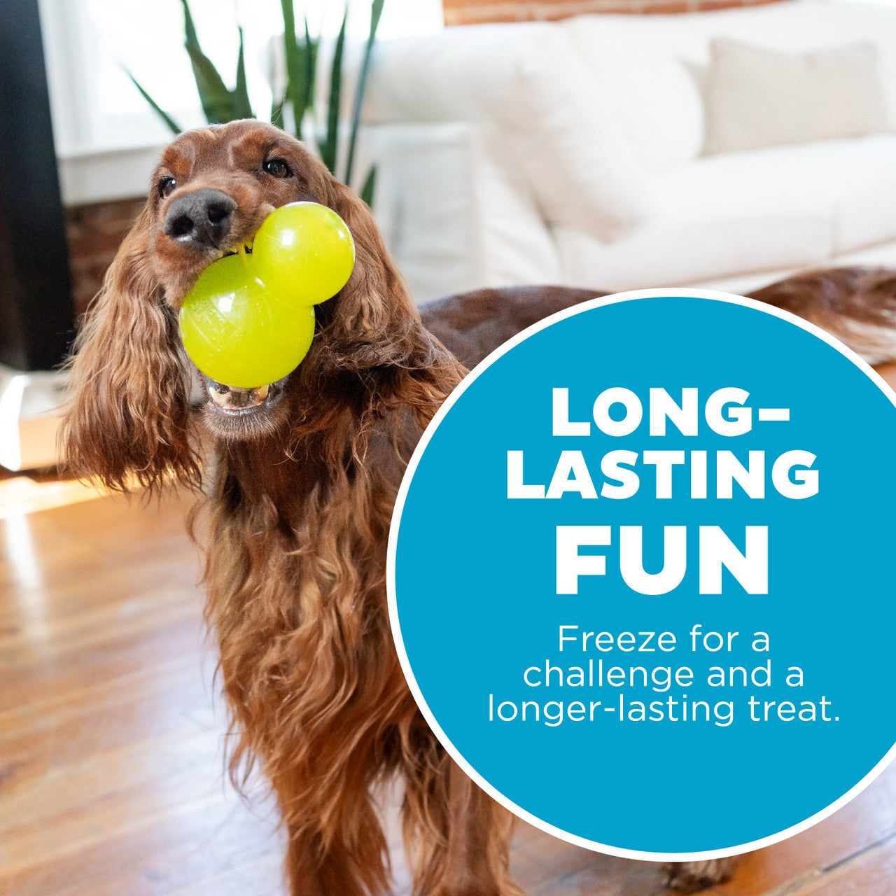 Double-Tuff Interactive Treat Stuffer Durable Dog Chew Toy Large