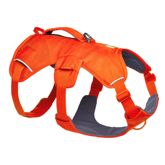 IN STORE ONLY Ruffwear Web Master Dog Harness with Handle (Copy)