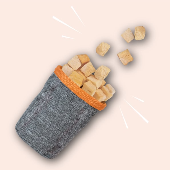 Naturawr Pumpkin Patch for Dogs 30g