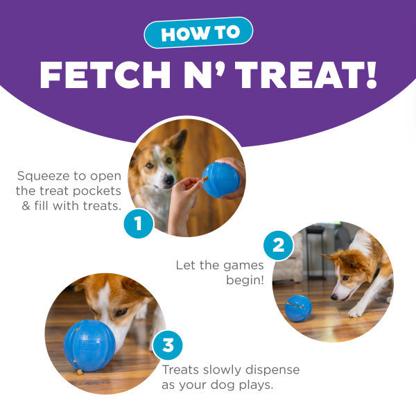 Orbee-Tuff Guru Treat Dispensing Puzzle Toy