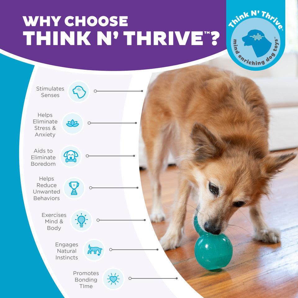 Double-Tuff Interactive Treat Stuffer Durable Dog Chew Toy Medium