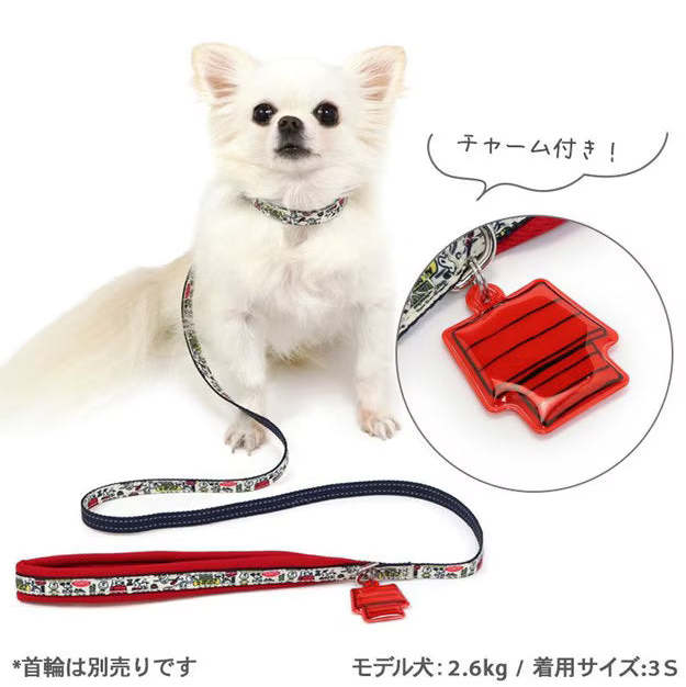 Snoopy Red House Lead