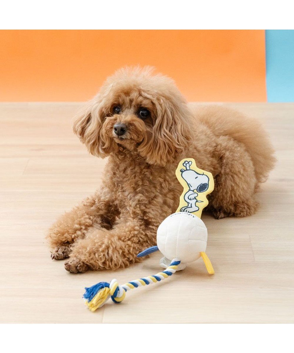 Snoopy Crinkly Volleyball Toy