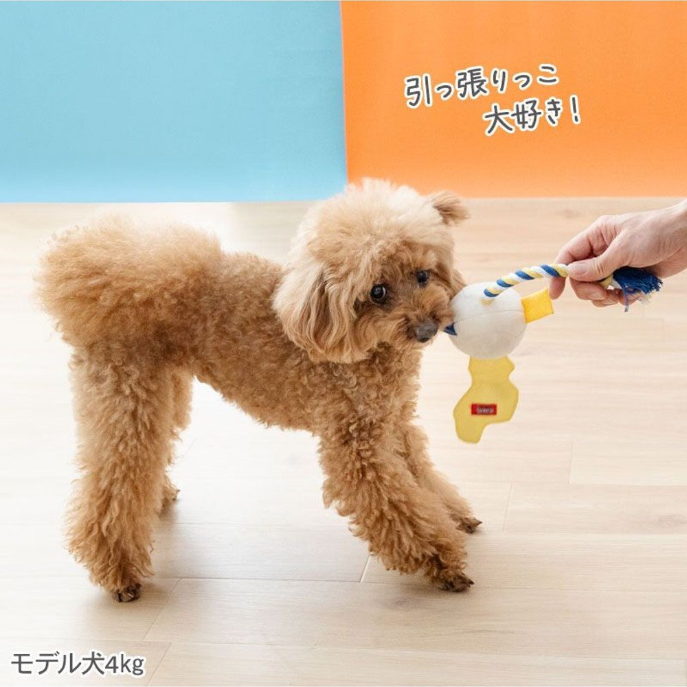 Snoopy Crinkly Volleyball Toy