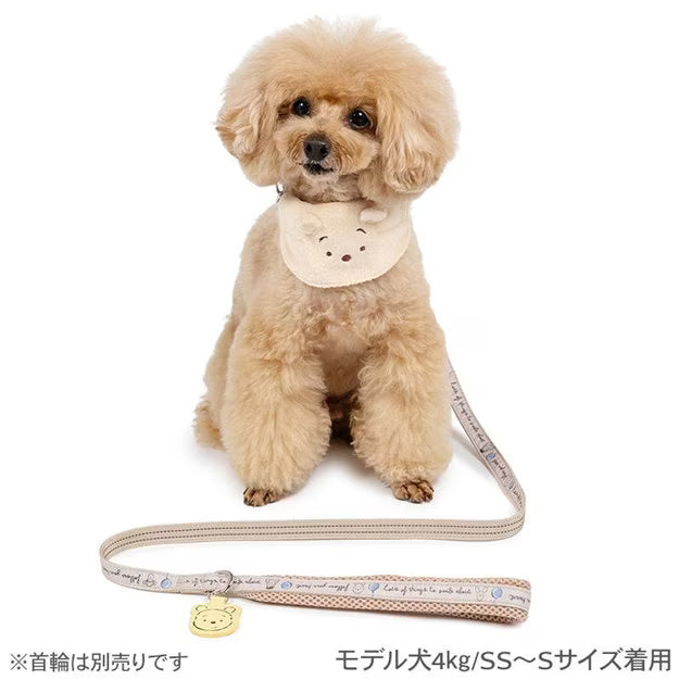 Winnie the Pooh Balloon Pattern Lead