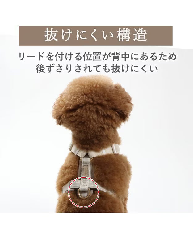 Kuma-Chan Active Harness