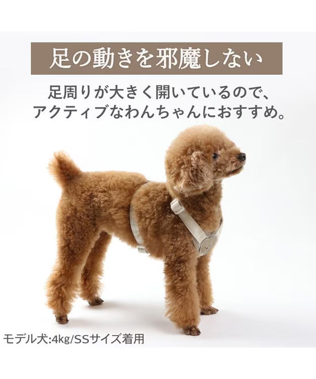 Kuma-Chan Active Harness