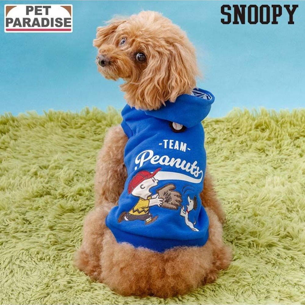 Vintage Snoopy Baseball Hoodie-Blue