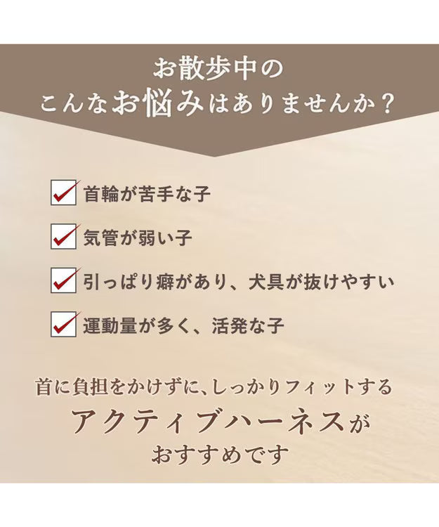 Snoopy & Siblings Active Harness