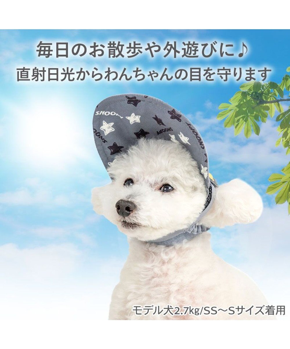 Snoopy Sunglasses Hat Gray