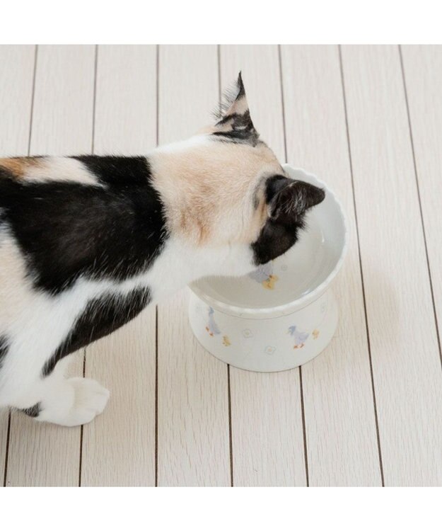 Pet Paradise Duck Tall Food Plate