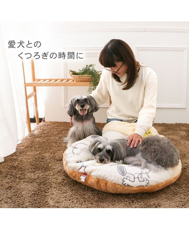 Snoopy & Silblings Far Infrared Relaxation Mat Medium