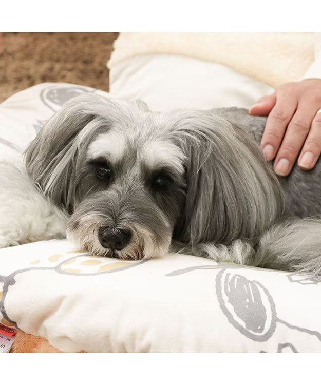 Snoopy & Silblings Far Infrared Relaxation Mat Medium