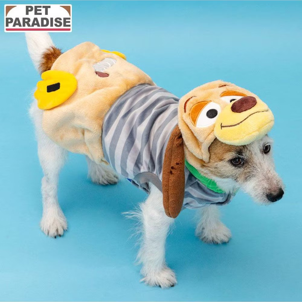 [Coming Soon] Toy Story Slinky Costume Hoodie