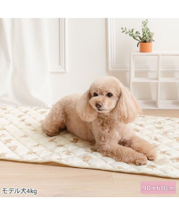 Ice Cream Bear Cooling Mat