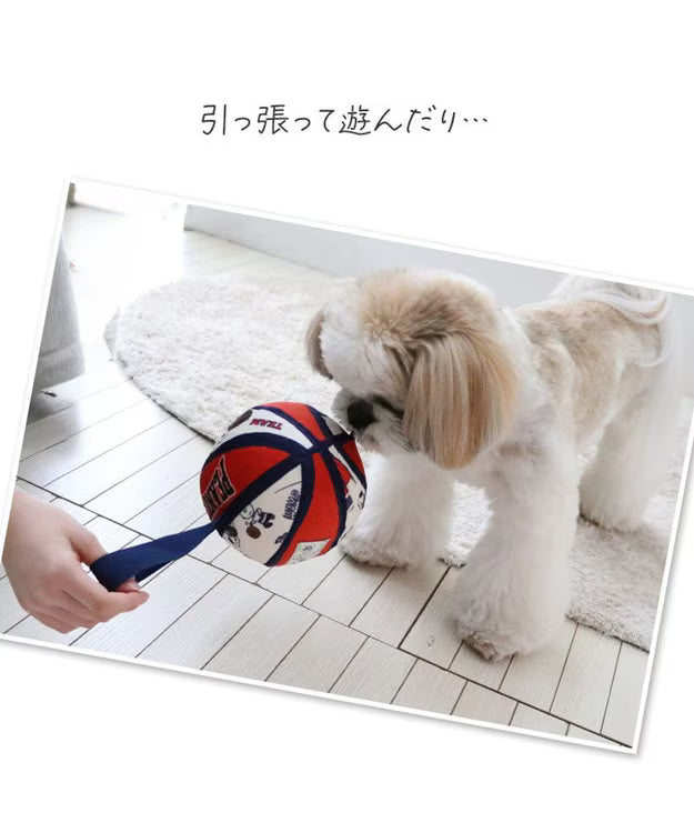 Snoopy Basketball Toy with Tab