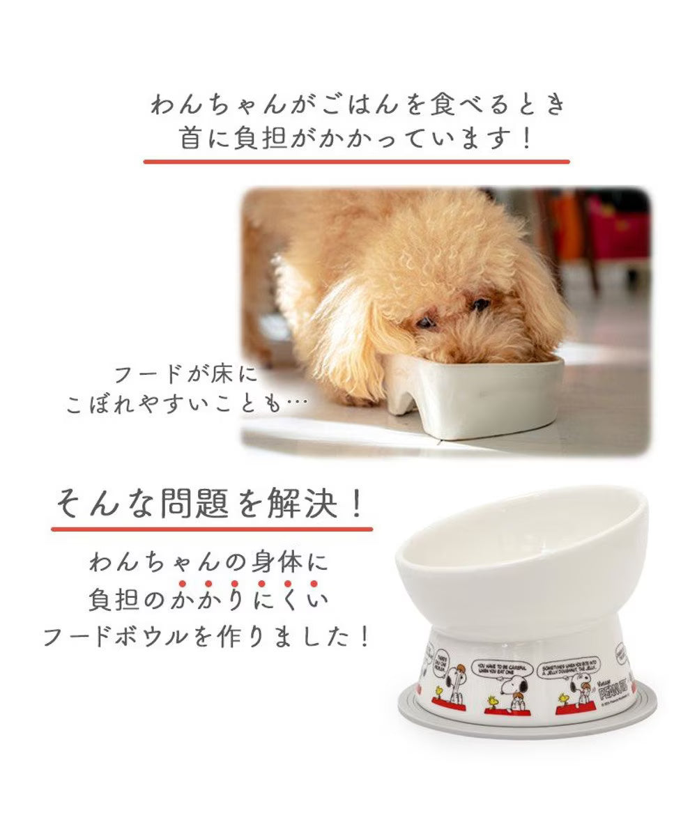 Snoopy Donut Comic Tall Food Bowl