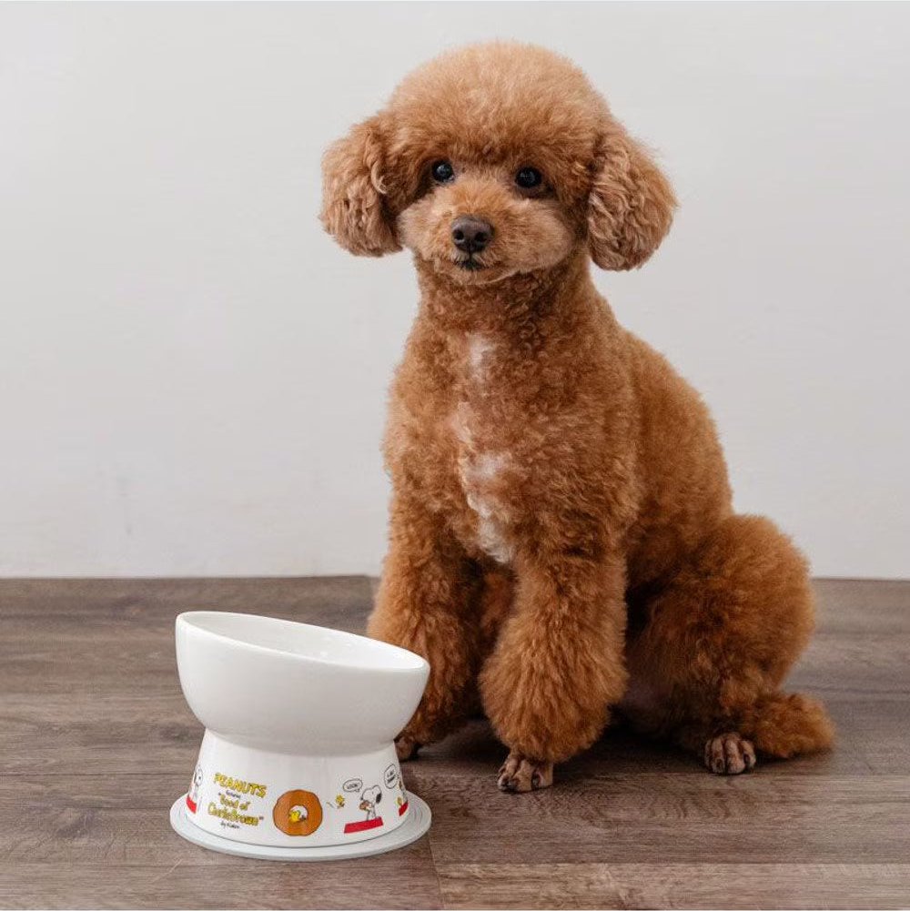 Snoopy Donut Comic Tall Food Bowl